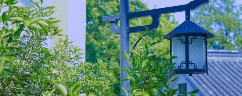 小满是哪一天