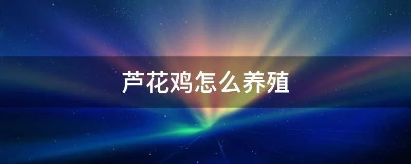 芦花鸡怎么养殖