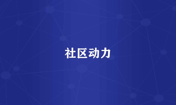 社区动力
