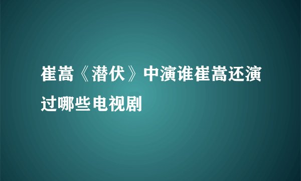 崔嵩《潜伏》中演谁崔嵩还演过哪些电视剧