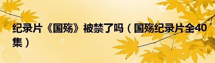 纪录片《国殇》被禁了吗（国殇纪录片全40集）