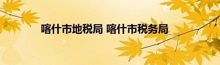 喀什市地税局 喀什市税务局