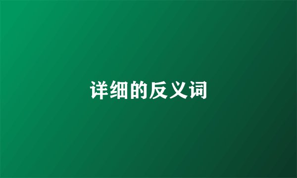 详细的反义词