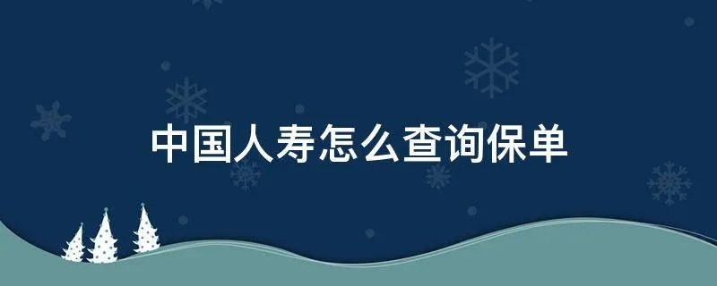 中国人寿怎么查询保单