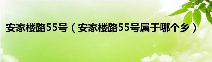 安家楼路55号(安家楼路55号属于哪个乡)