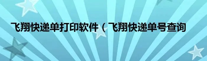 飞翔快递单打印软件（飞翔快递单号查询