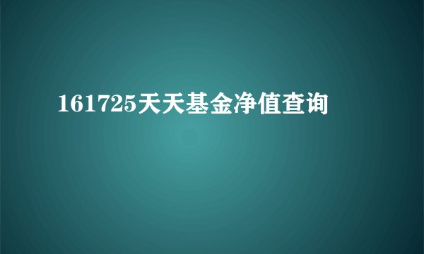 161725天天基金净值查询