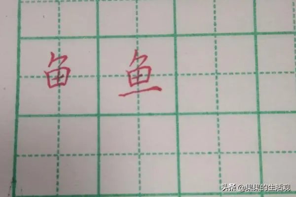 鱼的笔顺和书写方法?