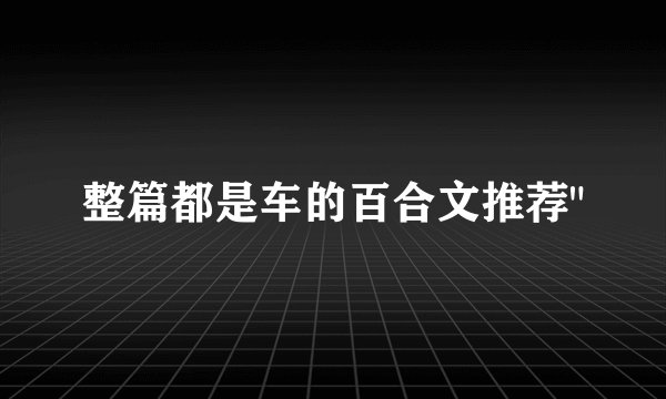 整篇都是车的百合文推荐