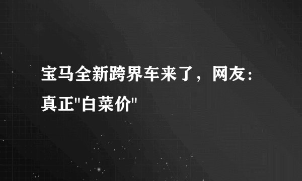 宝马全新跨界车来了，网友：真正