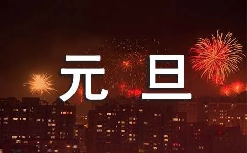 快乐的元旦节作文