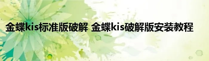 金蝶kis标准版破解 金蝶kis破解版安装教程