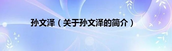 孙文泽（关于孙文泽的简介）