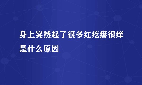 身上突然起了很多红疙瘩很痒是什么原因
