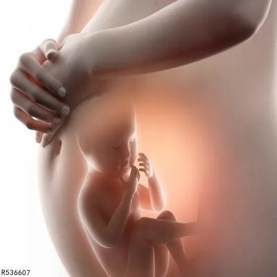 孕妇营养应该如何进补 孕妇进补要遵循四原则