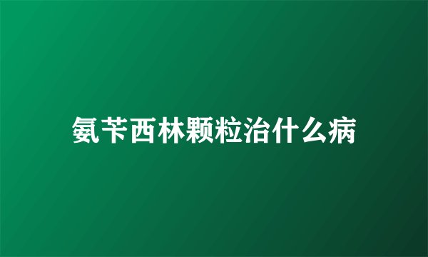 氨苄西林颗粒治什么病