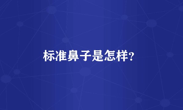 标准鼻子是怎样？