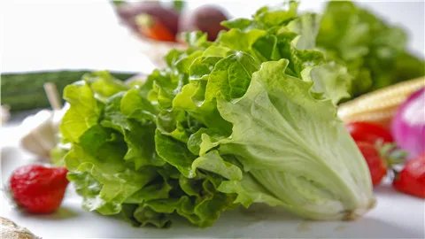生菜的功效与作用