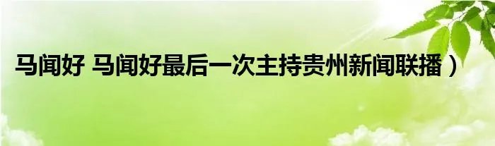 马闻好 马闻好最后一次主持贵州新闻联播）