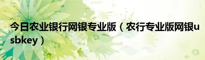 今日农业银行网银专业版（农行专业版网银usbkey）