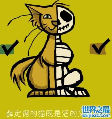 薛定谔的处女是什么意思，是不是处女试试就知道 