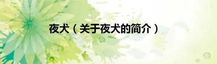 夜犬（关于夜犬的简介）