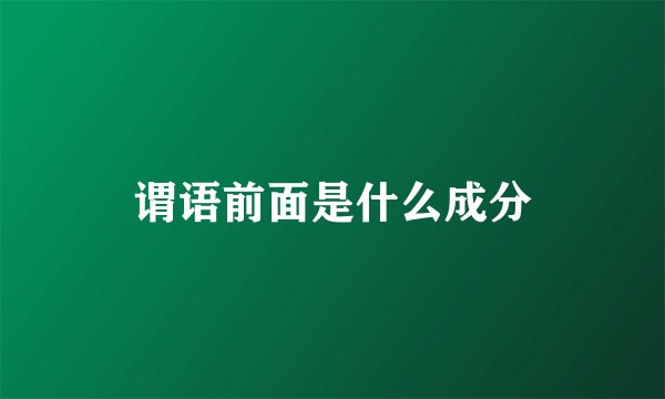 谓语前面是什么成分