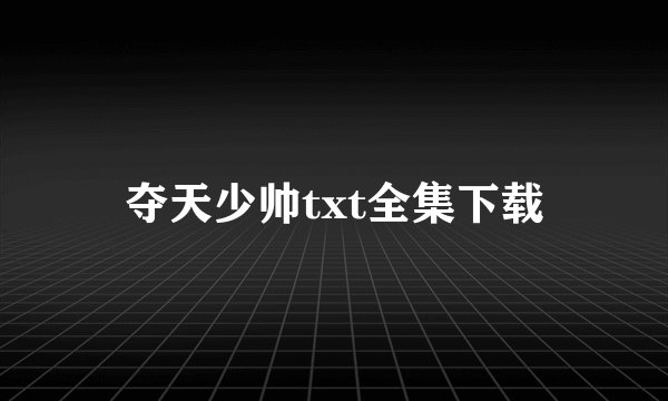 夺天少帅txt全集下载