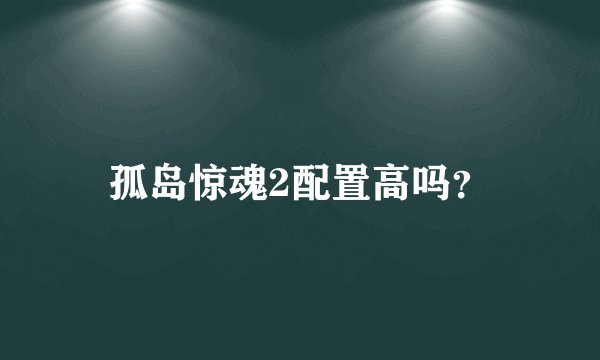 孤岛惊魂2配置高吗？