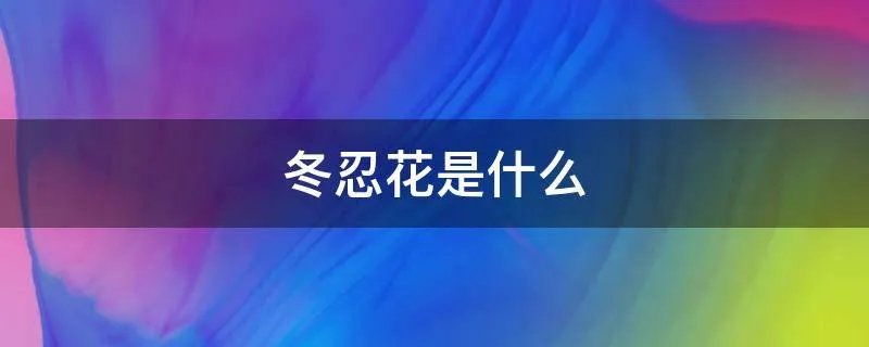 冬忍花是什么
