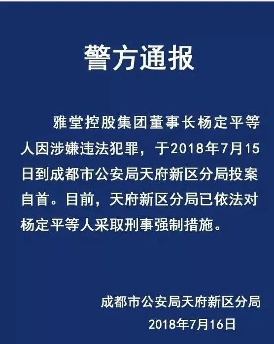 雅堂董事长自首是犯什么事？