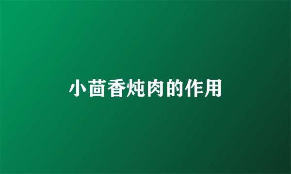 小茴香炖肉的作用
