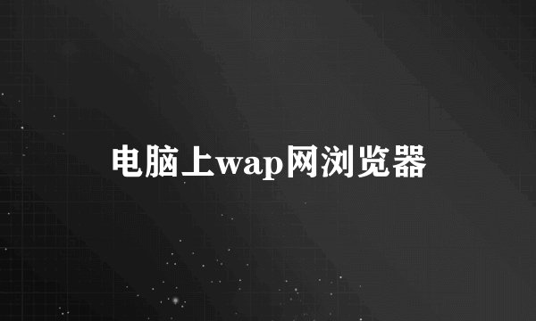 电脑上wap网浏览器