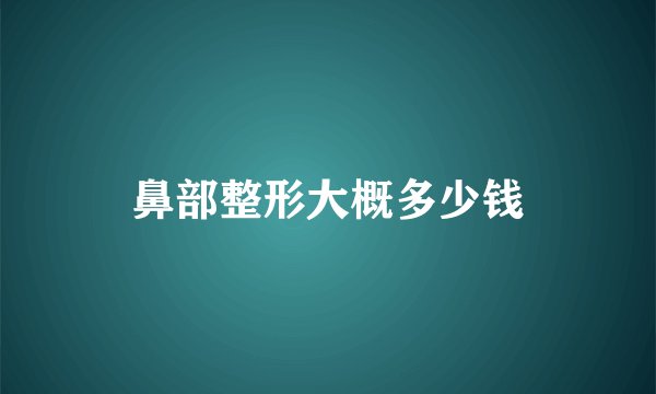鼻部整形大概多少钱