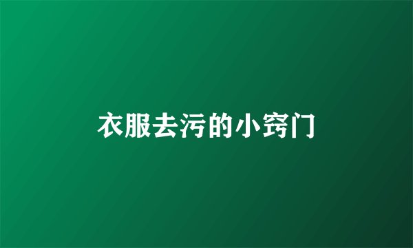 衣服去污的小窍门