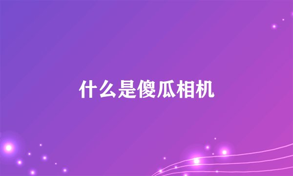 什么是傻瓜相机