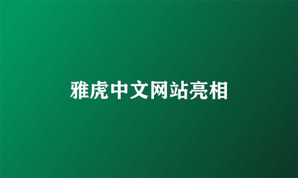 雅虎中文网站亮相