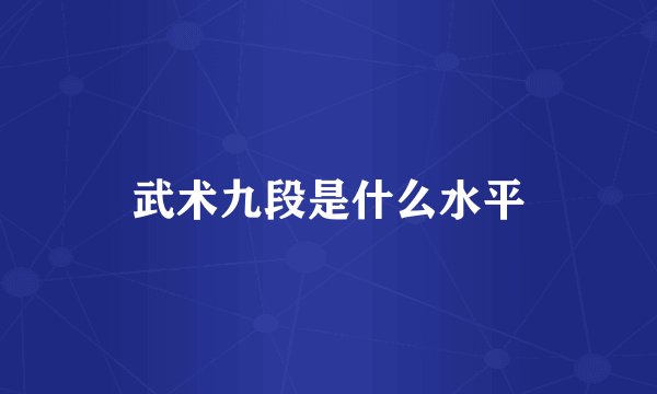 武术九段是什么水平