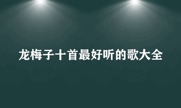 龙梅子十首最好听的歌大全