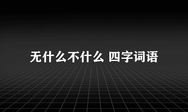 无什么不什么 四字词语