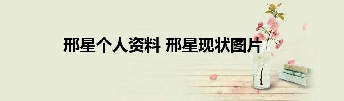 邢星个人资料 邢星现状图片