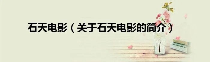 石天电影(关于石天电影的简介)