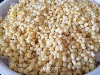 自制冰皮月饼