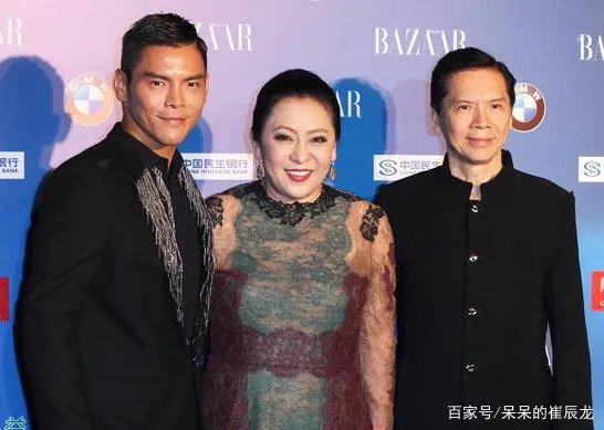 向太陈岚为何只捧向佐,却对向佑只字不提,有两个儿子为什么这么偏心?