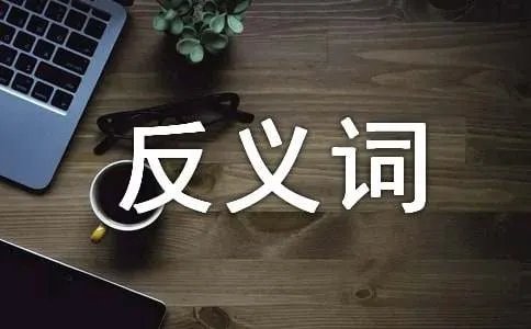 新鲜的反义词