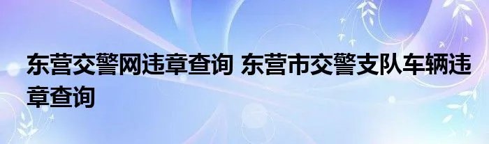 东营交警网违章查询 东营市交警支队车辆违章查询