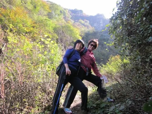 孽恋情缘:山村多情女人花的背景故事: