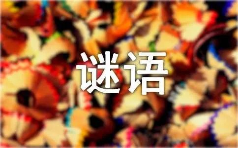 猜谜语及答案