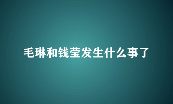 毛琳和钱莹发生什么事了