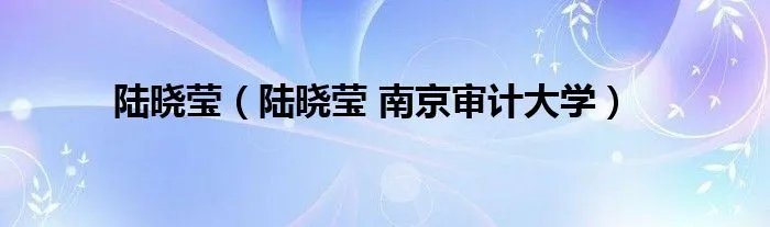陆晓莹(陆晓莹 南京审计大学)